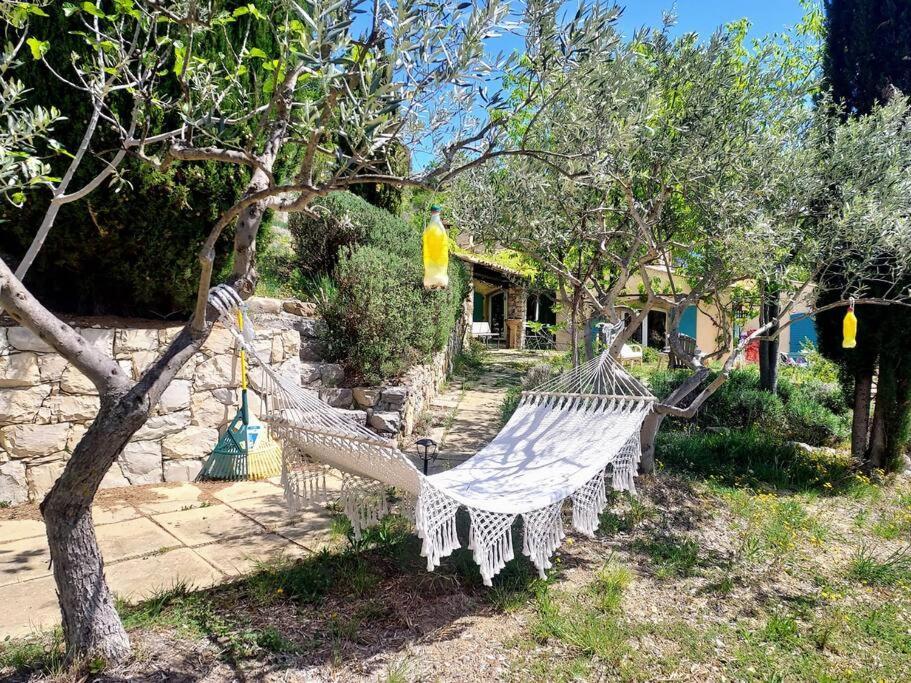 La Maison De Ninia Digne-les-Bains Dış mekan fotoğraf