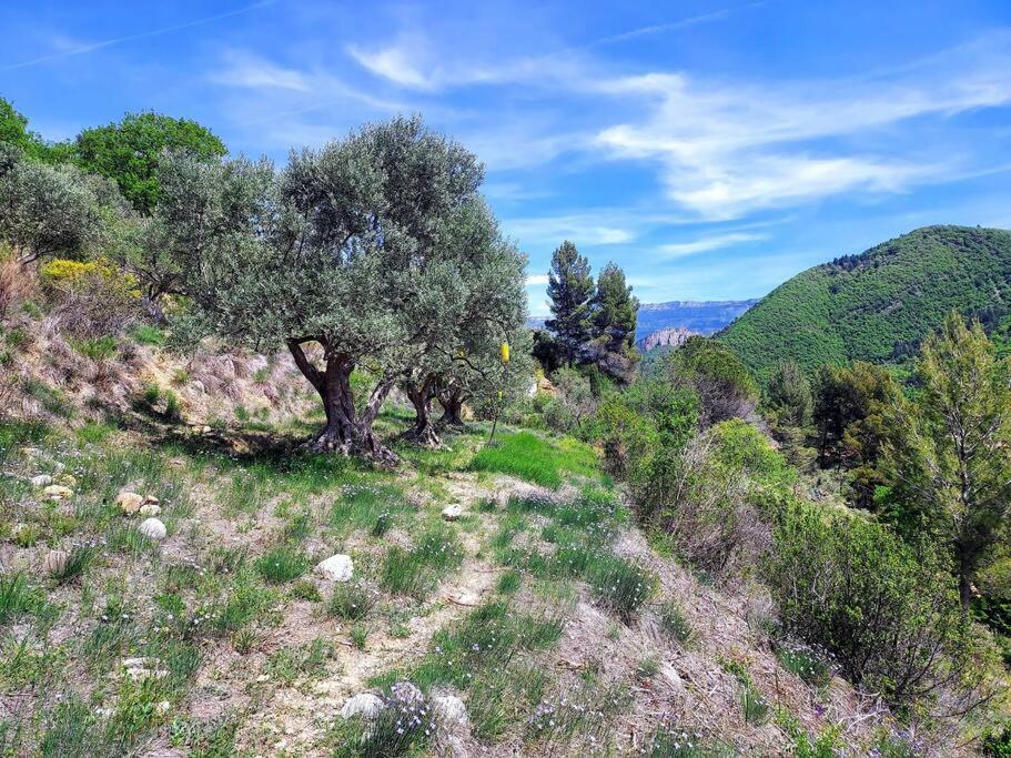 La Maison De Ninia Digne-les-Bains Dış mekan fotoğraf